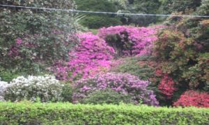 © rapp Busreisen © rapp Busreisen