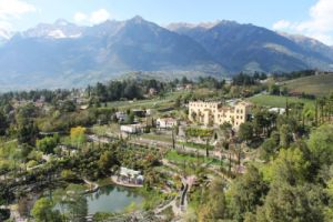 © www.imogsuedtirol.com