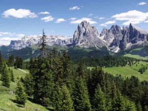 © www.imogsuedtirol.com