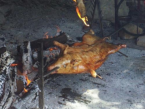 © rapp Busreisen © rapp Busreisen