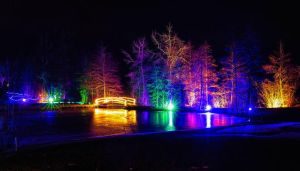 © Waldsee Golf Management GmbH © Waldsee Golf Management GmbH